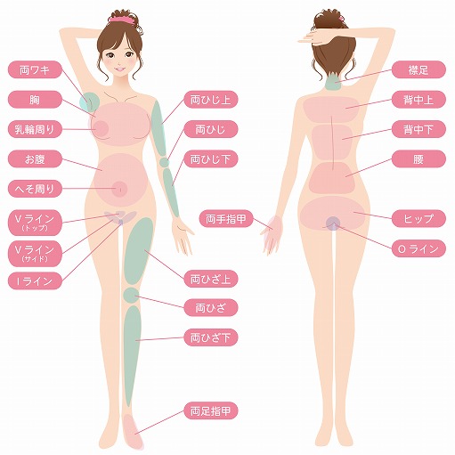 IPL蓄熱式医療脱毛「Kalon S」で脱毛可能な部位